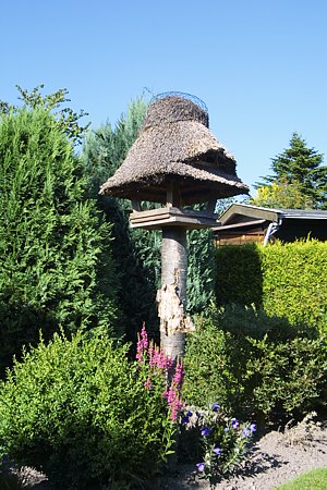 Foto aus der Fotogruppe 